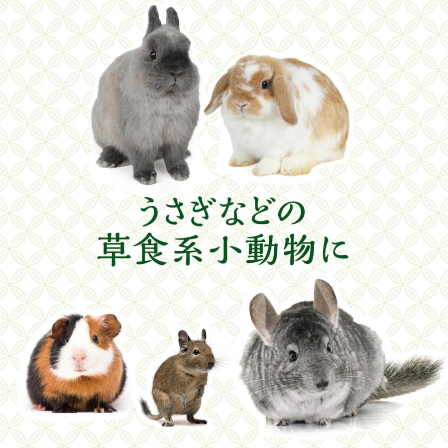 GEX（ジェックス） 旬牧草 イタリアンライグラス 120g うさぎ