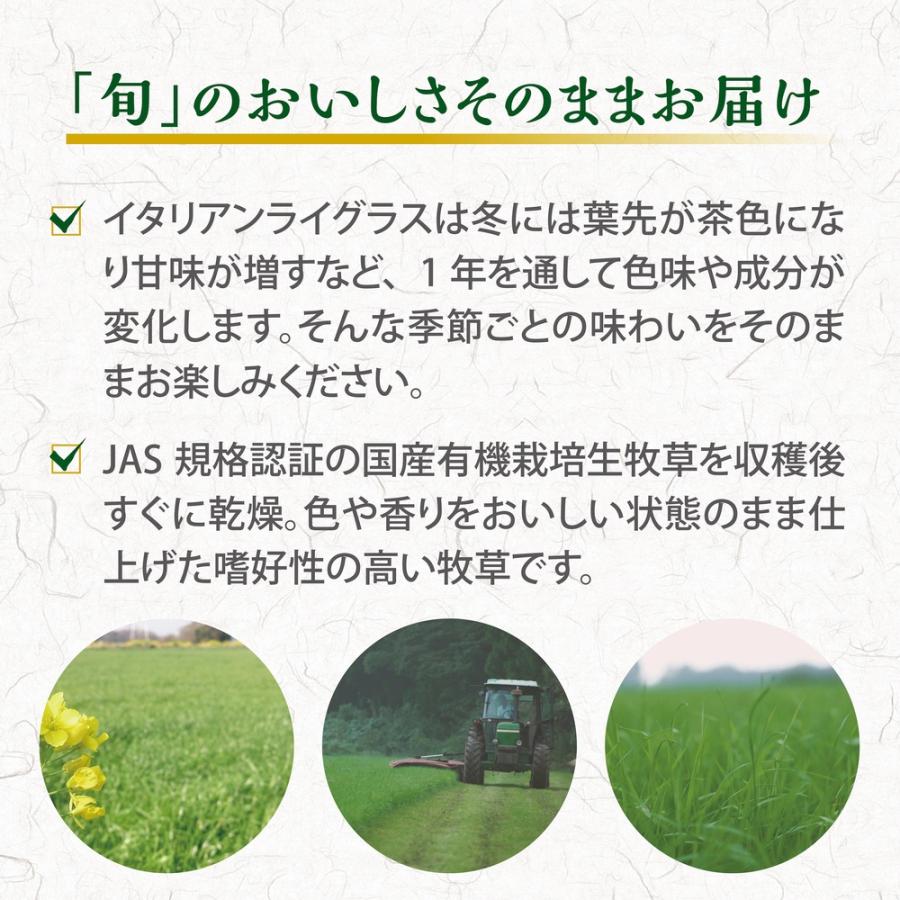 GEX（ジェックス） 旬牧草 イタリアンライグラス 300g うさぎ