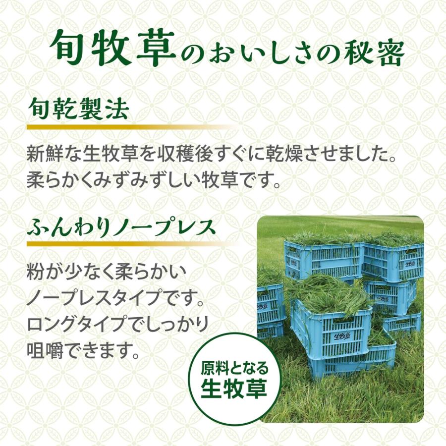 GEX（ジェックス） 旬牧草 イタリアンライグラス 300g うさぎ