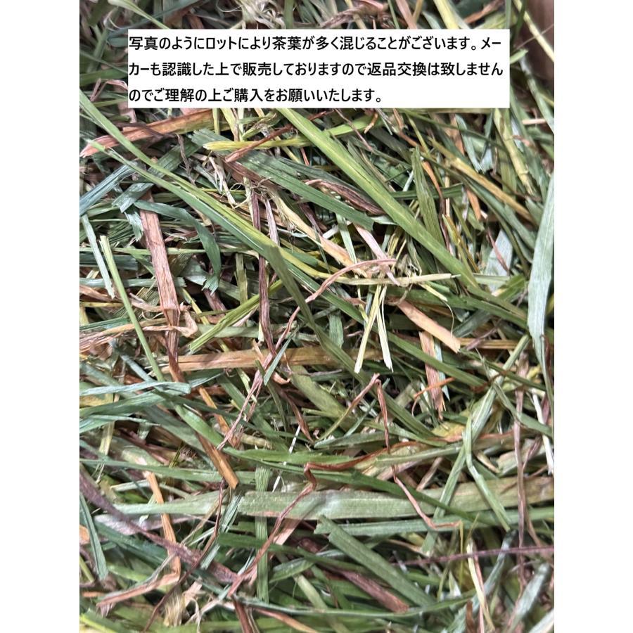 GEX（ジェックス） 旬牧草 イタリアンライグラス 300g うさぎ