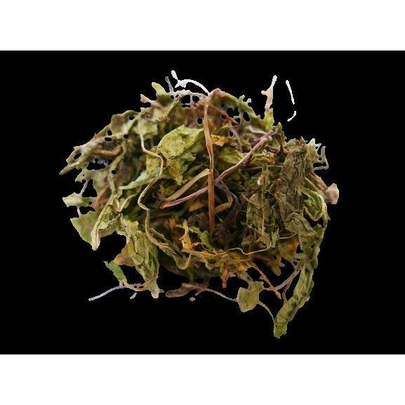 川井　やみつきむしゃむしゃタンポポ 40g　乾燥野菜　うさぎ　モルモット　チンチラ　草食動物　 |  | 01