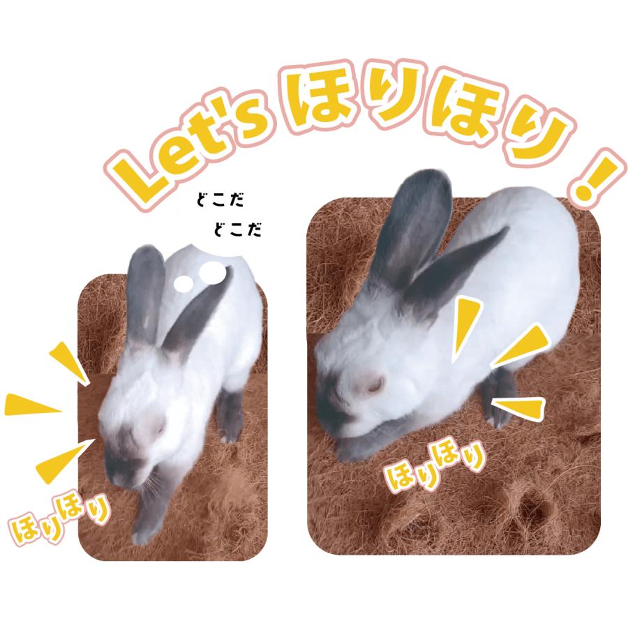 情熱ほりほり ココナッツランド うさぎ モルモット チンチラ リチャードソンジリス KAWAI 川井 | カワイ(ペット用品) | 03