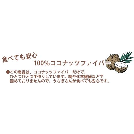 情熱ほりほり ココナッツランド 送料無料 うさぎ モルモット チンチラ リチャードソンジリス KAWAI 川井｜i-rabbit｜05