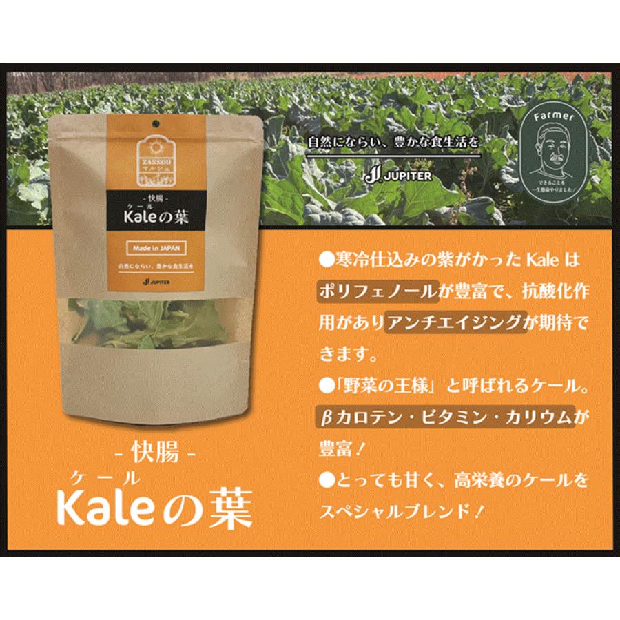 ZASSOUマルシェ ケールの葉 乾燥野菜 うさぎ モルモット チンチラ デグー 草食動物　 | カワイ(ペット用品) | 02