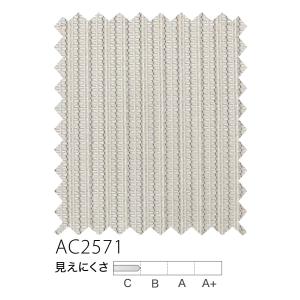 サンゲツ（SANGETSU） オーダーシアーカーテン【ミラー・防汚】 AC2571