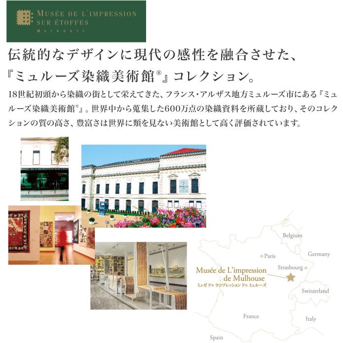 アスワン ミュルーズ染織美術館（フランス）マット アンジェラ