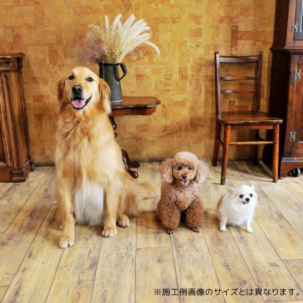 水洗いができるカーペット クリーンロボ 200×250cm ラグサイズ