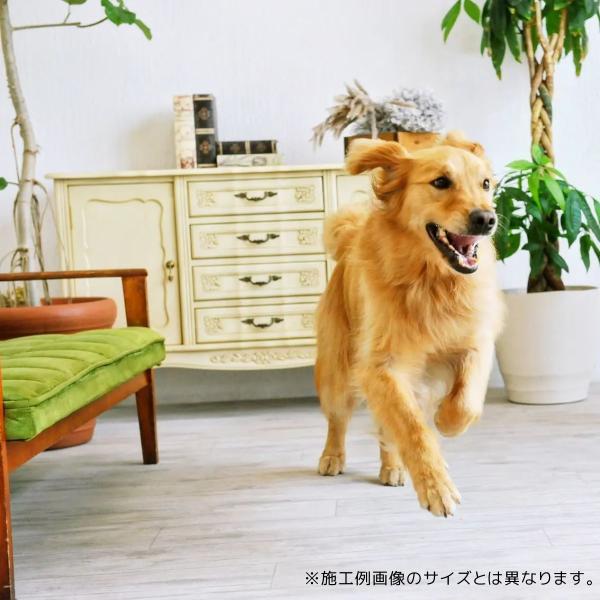 水洗いができるカーペット クリーンロボ 200×250cm ラグサイズ