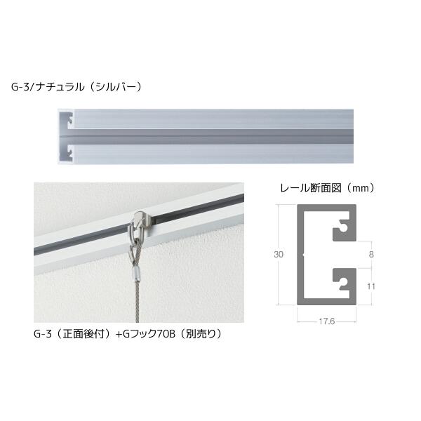 TOSO（トーソー） ピクチャーレール G-3 レール 2.00m 正面後付用