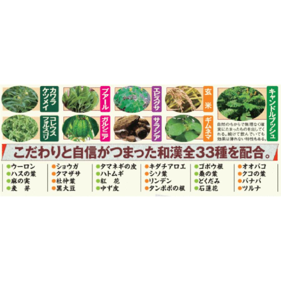 キャンドルブッシュ サラシア エビスグサ 33種類 ブレンド 健康茶 ダイエットティー アイロック 燦燦痩茶 さんさんそうちゃ 15包入 送料無料 アイロックyahoo 店 通販 Yahoo ショッピング