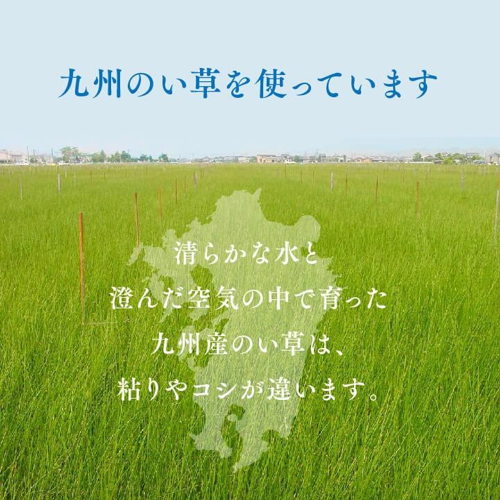 い草上敷き まごころ 江戸間2畳176×176cm 日本製 井草 国産 畳 ござ 上敷き 敷き詰めカーペット｜i-s｜04