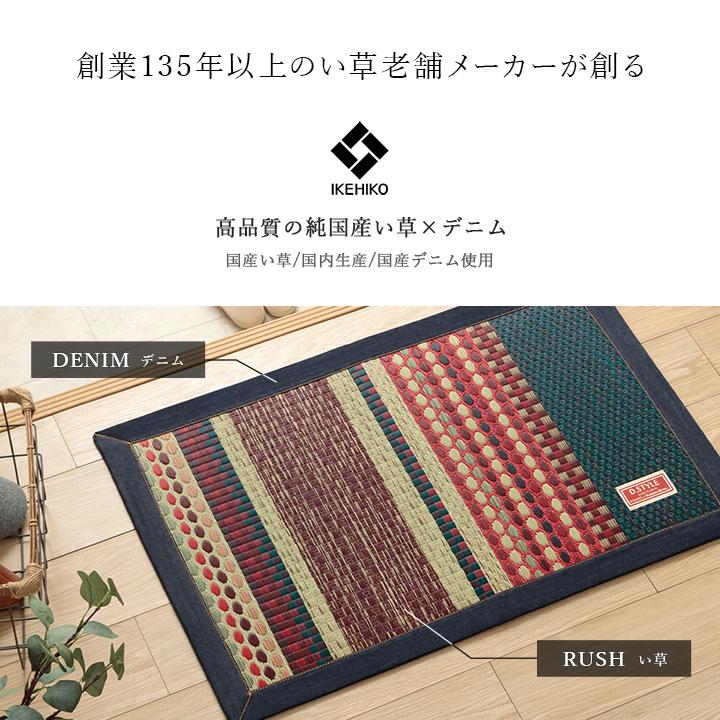 イケヒコ 玄関マット 国産 Fラルフ 約70×120cm 室内 屋内 大きめ