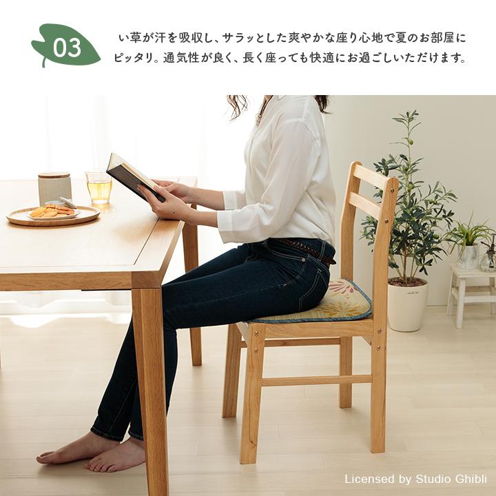 スタジオジブリ シートクッション となりのトトロ い草 クッション