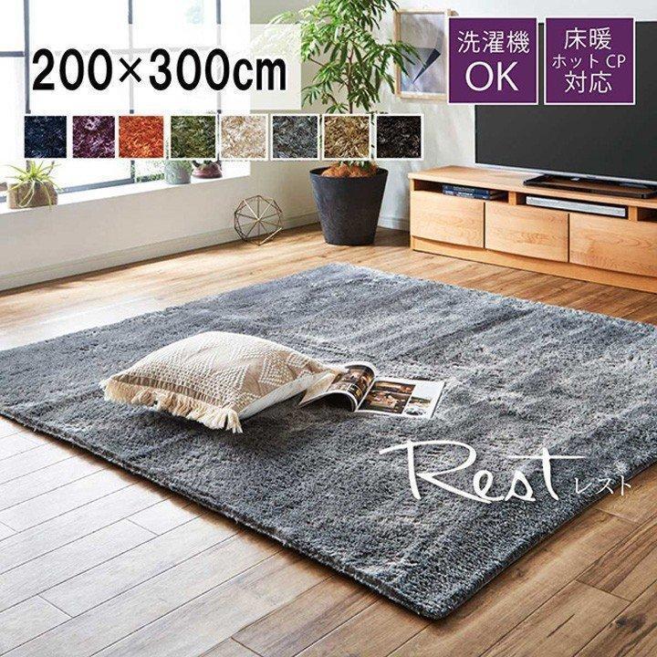 イケヒコ ラグ カーペット ラグマット 春 夏 レスト 200×300cm イケヒコ ラグ カーペット ラグマット 春 夏 レスト 200×300cm