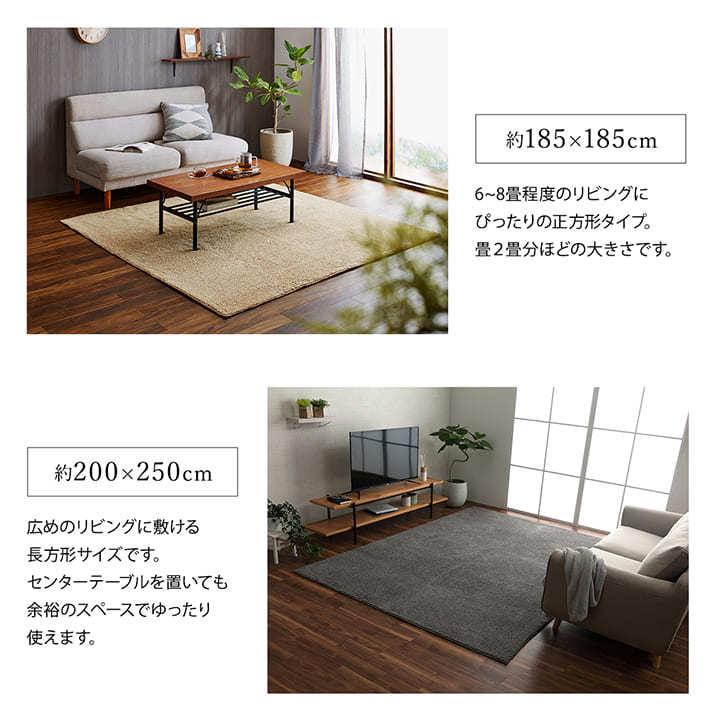 イケヒコ ラグ 洗える ラグマット おしゃれ ラグ カーペット ホット