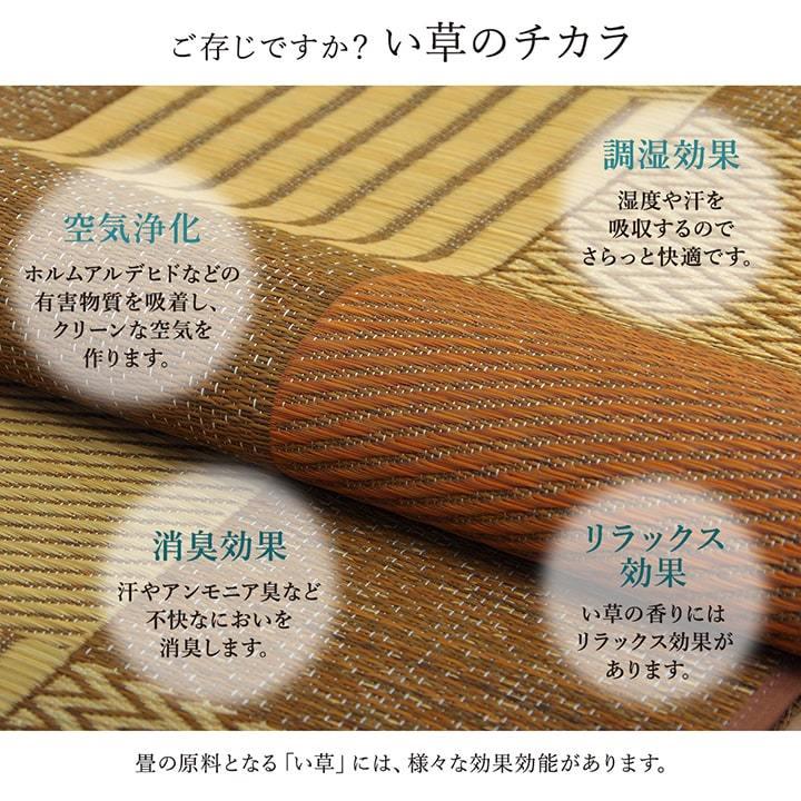 イケヒコ い草花ござ 純国産 日本製 京刺子(きょうさしこ) 本間6 イケヒコ い草花ござ 純国産 日本製 京刺子(きょうさしこ) 本間6