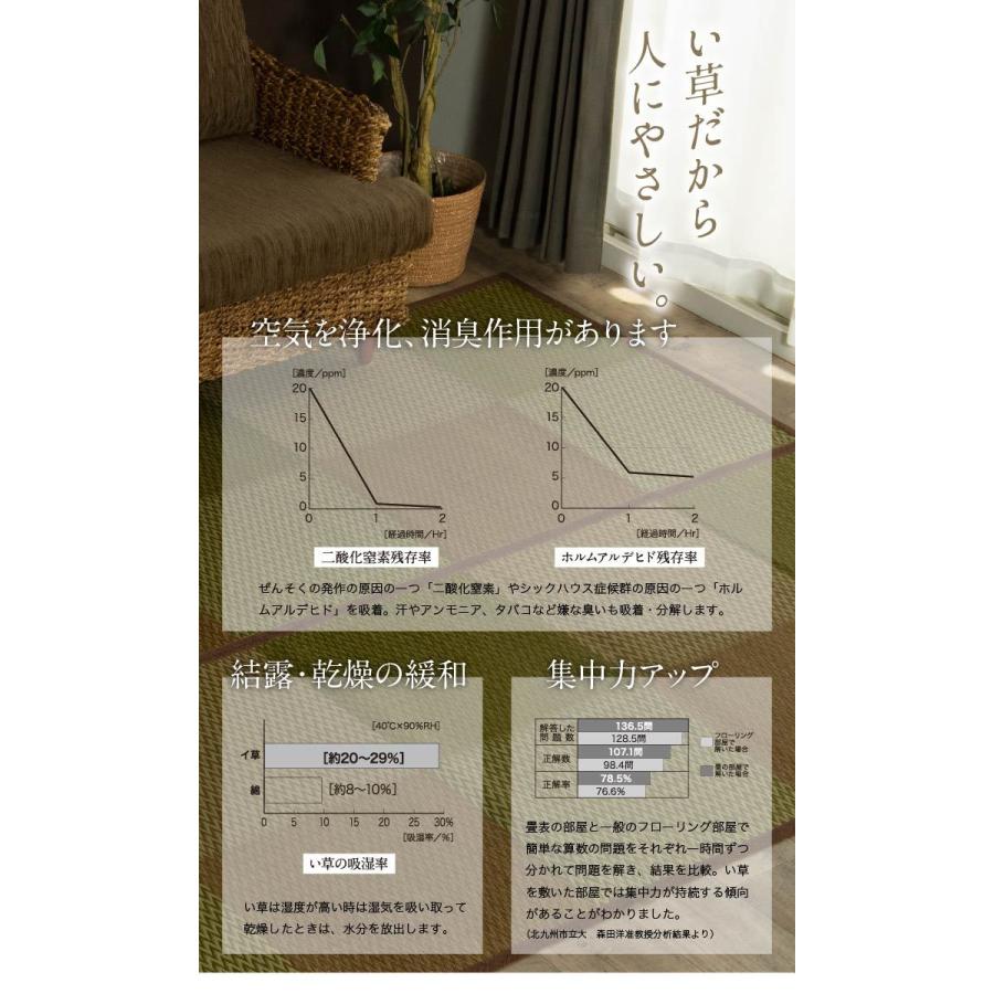 い草花ござ DXニューピア 江戸間2畳174×174cm  い草ラグ い草カーペット 花茣蓙 上敷 畳 裏あり 新生活｜i-s｜08