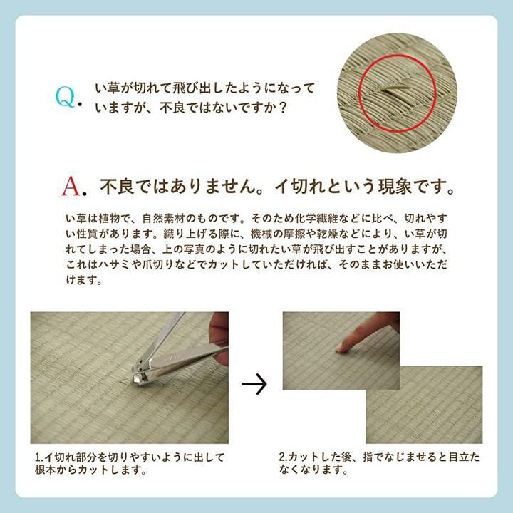イケヒコ い草カーペット DXルネ 本間 8畳 い草ラグ おしゃれ イケヒコ い草カーペット DXルネ 本間 8畳 い草ラグ おしゃれ
