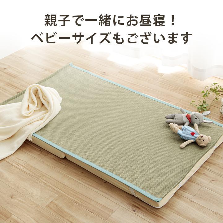 イケヒコ 寝ござ い草 国産 い草シーツ いやし セミダブル 約110×200cm