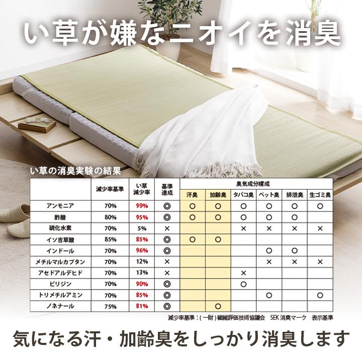 イケヒコ 寝ござ い草 国産 い草シーツ いやし セミダブル 約110×200cm