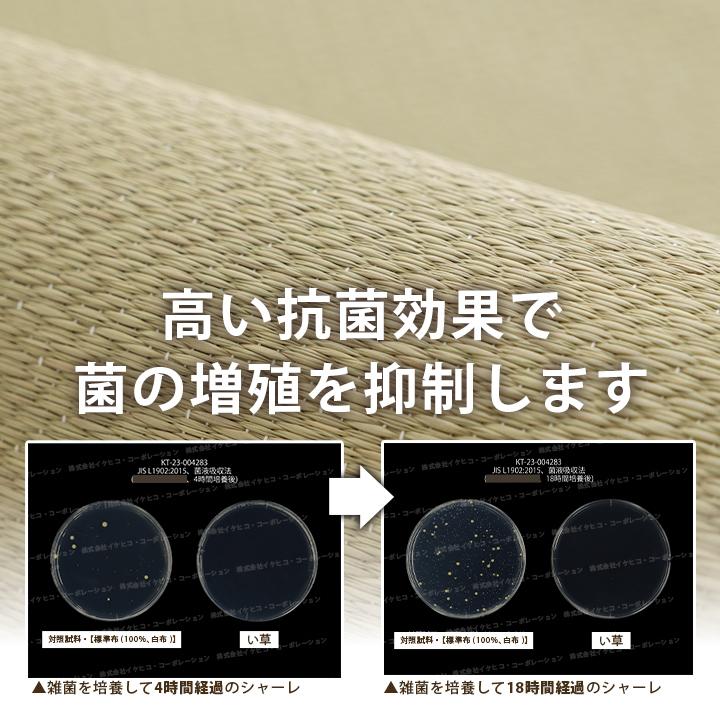 寝ござ い草 国産 い草シーツ いやし ダブル 約130×200cm イ草 シーツ 寝茣蓙 日本製 敷きパッド 敷パッド ゴムバンド付き 寝具 快適 夏用 汗取りパッド_10
