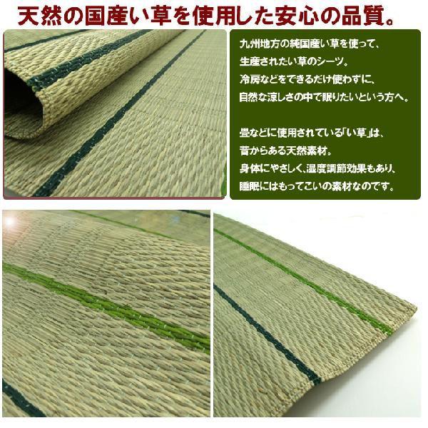 イケヒコ ござ 寝ござ 葉月 シングル 88×180 い草シーツ 国産 布団