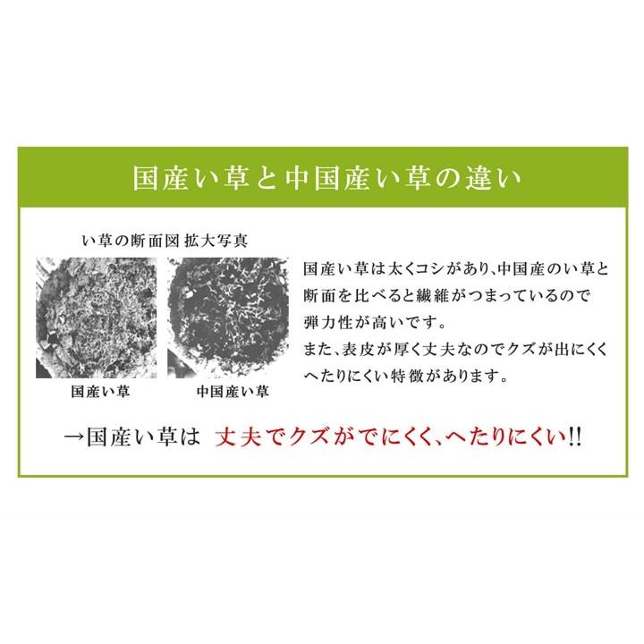 父の日 い草ごろ寝マットセット もっと親父の場所枕付きセット プレゼント お昼寝 い草マット 快眠 ふっくら 井草 自然素材 マット 寝具 父の日 敬老の日 実用的｜i-s｜13