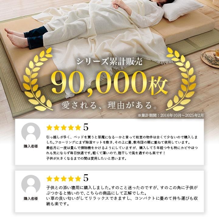 【新品】畳　5枚 楽天市場】【値下】 畳 置き畳 琉球畳 樹脂畳 サイズオーダー 特注