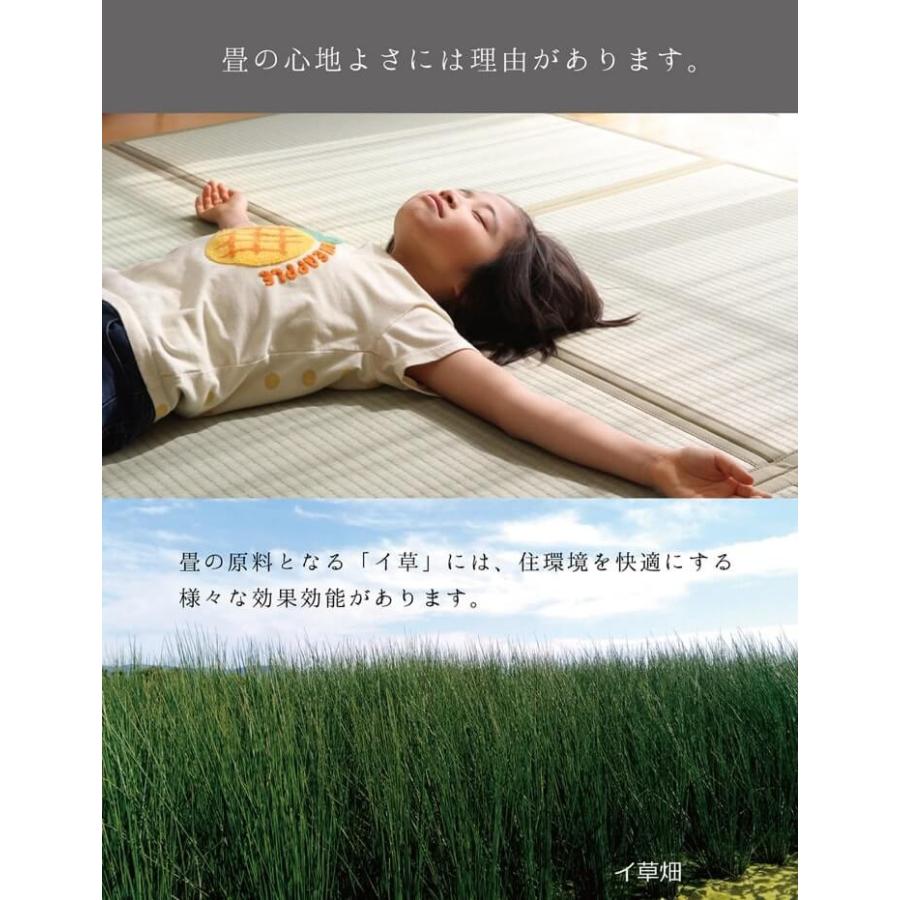 畳 置き畳 国産 ユニット畳 ミニ パーソナル いぐさ イ草 たたみ 軽量 つなげる あぐら  70×70cm 12枚セット 3.5畳｜i-s｜22