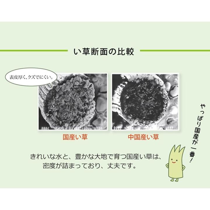 い草置き畳 ユニット畳 あぐら 70×70cm 1枚 単品 国産 フローリング イグサ 藺草 和室 和風 リビング 和家具 パーソナル 和モダン (tm)｜i-s｜10