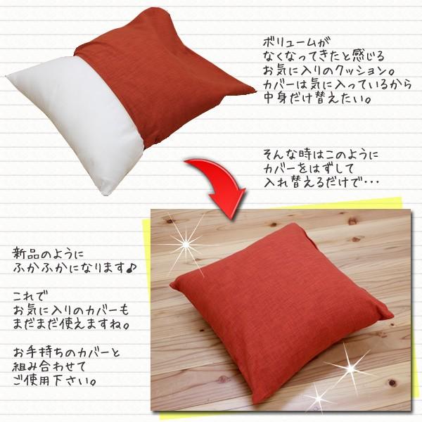 イケヒコ ヌードクッション 背あてクッションタイプ 約45×45cm ヌード