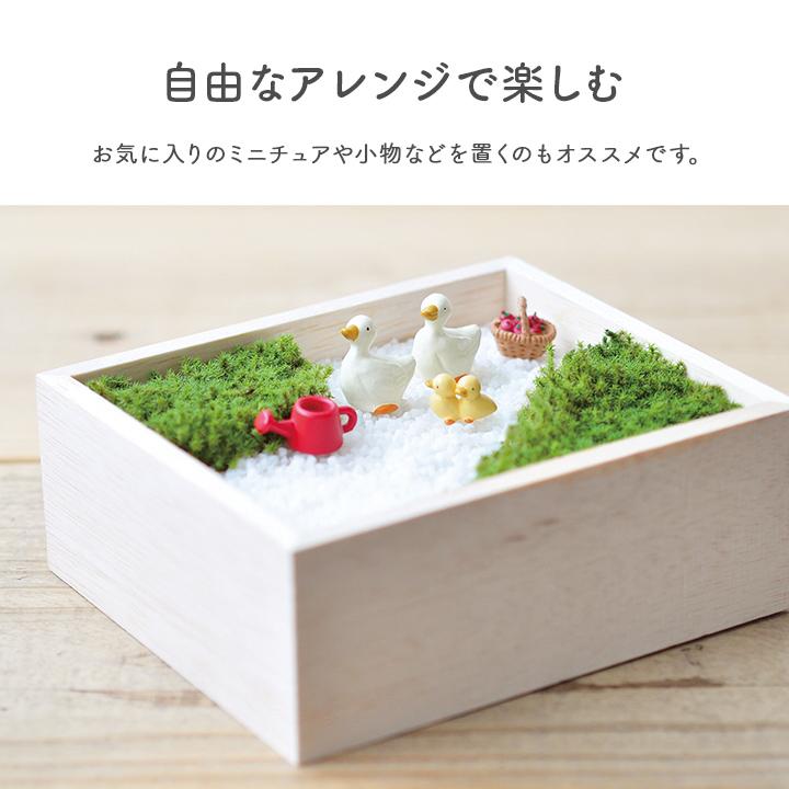 激安の <br> ギフト 栽培セット 苔日和 栽培キット ミニチュア 庭園作り 箱庭作り スナゴケ 栽培 盆景 セット ミニ灯籠 父の日 敬老の日 プレゼント 聖新陶芸 アクアリウム 苔テラリウム 水草 栽培キット 室内 栽培セット M 約9×8cm GLASSTMOSS 母の日 プレゼント 誕生日