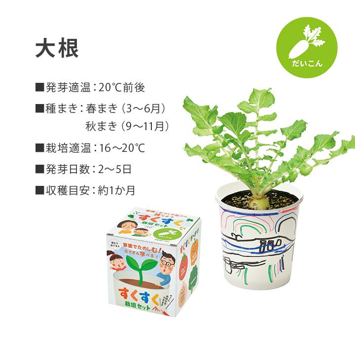 すくすく栽培セットBOX ギフト 日本製 野菜 キット 土セット 家庭菜園