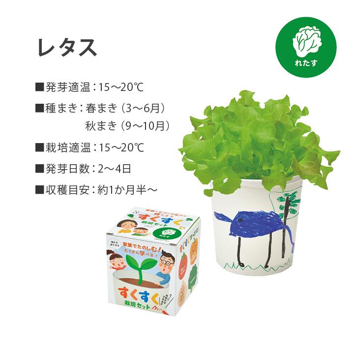すくすく栽培セットBOX ギフト 日本製 野菜 キット 土セット 家庭菜園