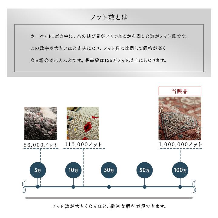 ラグ カーペット ウィルトン織 アルスラーン 約200×300cm 4畳 おしゃれ トルコ製 高目付 ラグマット センターラグ 絨毯 抗菌防臭 消臭 クラシック柄_5