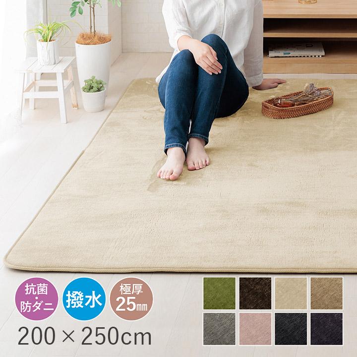 ラグ カーペット 約3畳 厚手 極厚低反発ラグ 200×250cm 抗菌 防ダニ