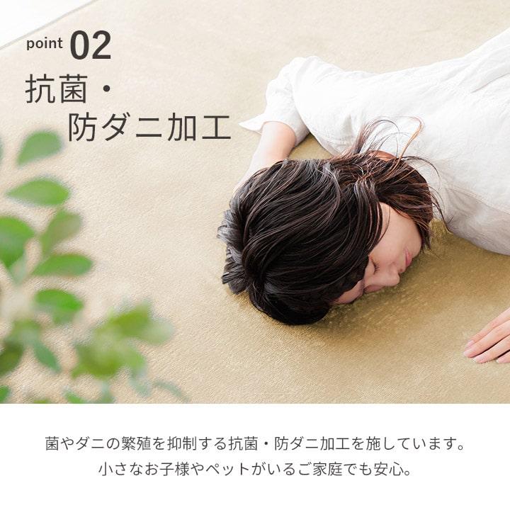 ラグ カーペット 約3畳 厚手 極厚低反発ラグ 200×250cm 抗菌 防ダニ おしゃれ もっちり ふわふわ 撥水 ホットカーペット対応 北欧 手洗い可 滑り止め FRE_12