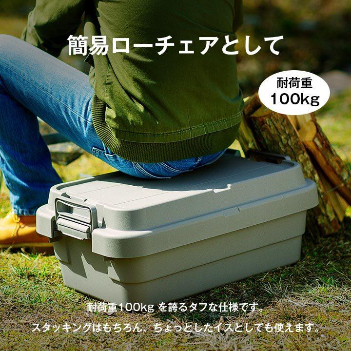 RISU（リス） トランクカーゴ 収納ボックス TRUNKC−LOW50S