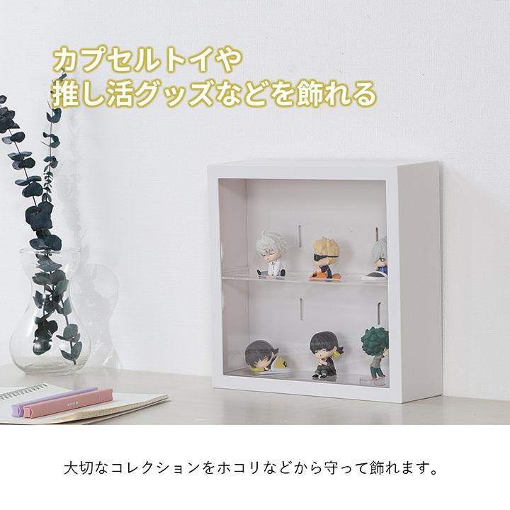 不二貿易（Fuji Boeki） コレクションケース 壁掛け コレクション