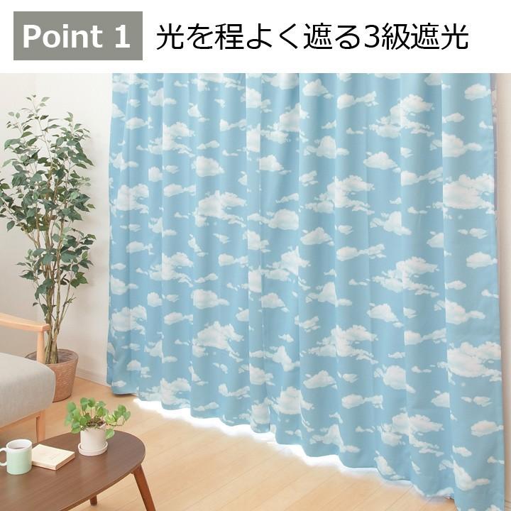 カーテン ドレープカーテン 遮光 洗える ドリーム uni 注文加工品 幅