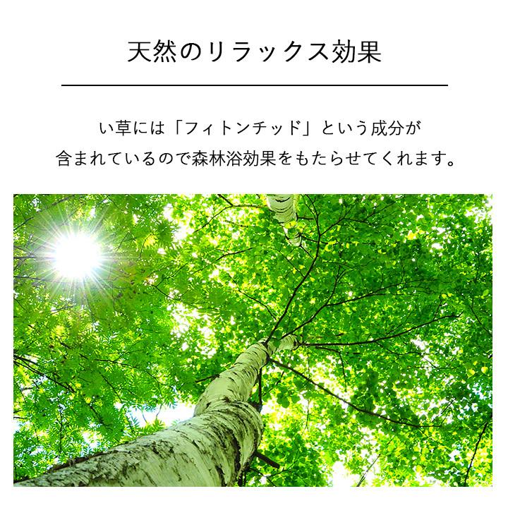インテリア オブジェ 畳のもと 観葉植物 置物 おしゃれ 和風 大きい