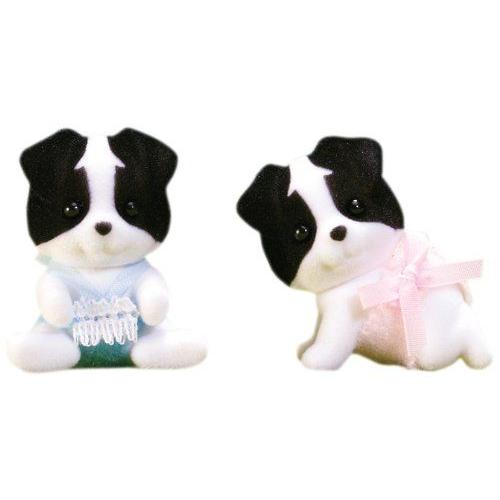 calico border collie