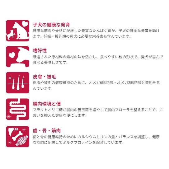 SELECT BALANCE ベッツチョイス セレクトバランス パピー チキン 小粒