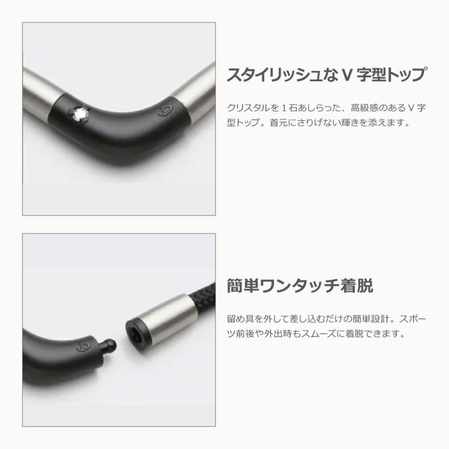 RAKUWA ファイテン(phiten) RAKUWA磁気チタンネックレス Vタイプ 45cm