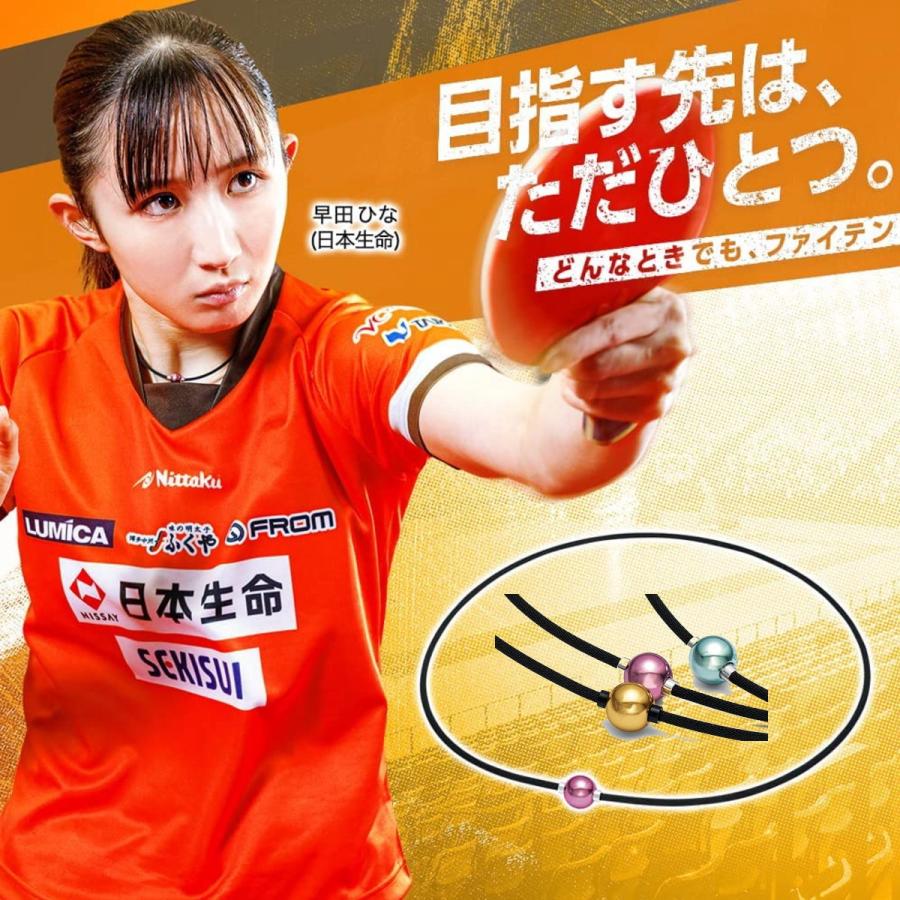 メタックス 【在庫限り】ファイテン ネックレス RAKUWAネック メタックス 【在庫限り】ファイテン ネックレス RAKUWAネック