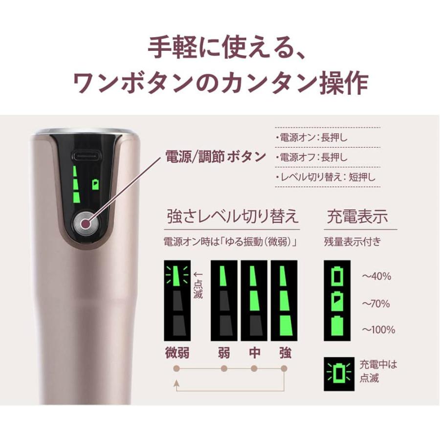 MOMiLUX ポイントビート ハンディ ローラープラス DMG-2201 CG | 充電