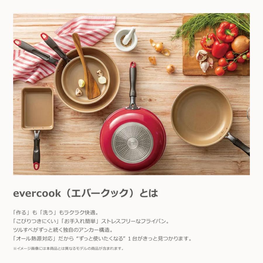 【500日保証】【当店限定】エバークック 着脱3点セット オパールグリーン｜EIST3OGR 全熱源対応 食洗機対応 PFOA不使用 evercook ドウシシャ | evercook | 01