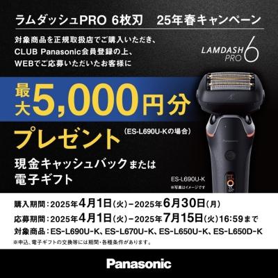 ラムダッシュ パナソニック ラムダッシュPRO メンズシェーバー 6 ラムダッシュ パナソニック ラムダッシュPRO メンズシェーバー 6