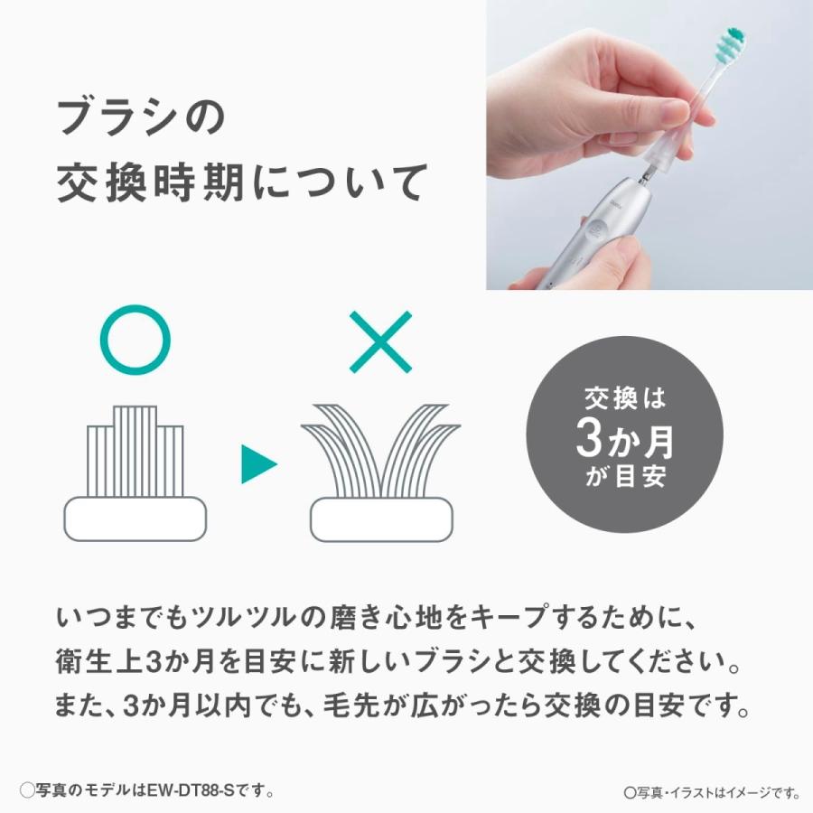 Doltz パナソニック ドルツ プレミアム W音波振動ハブラシ EW-DP38 全2