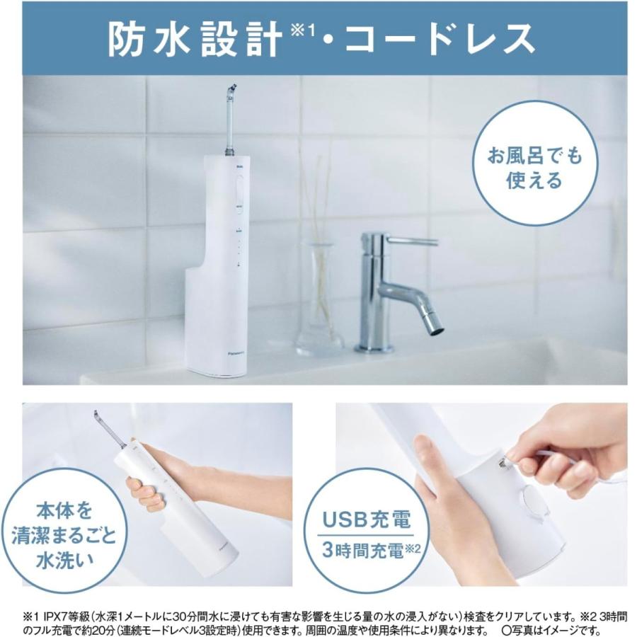 Doltz パナソニック 口腔洗浄器 ジェットウォッシャー ドルツ EW Doltz パナソニック 口腔洗浄器 ジェットウォッシャー ドルツ EW